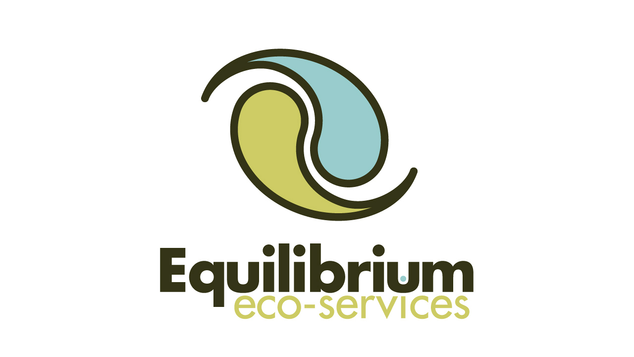 Equilibrium Eco-Services